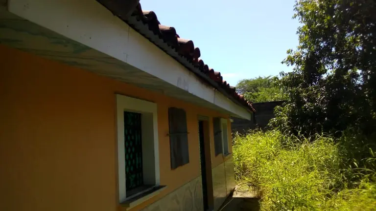 casa enjambre 01