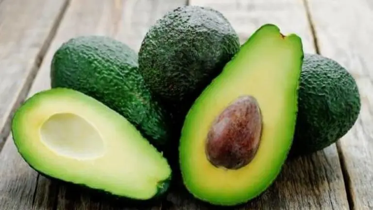 aguacate