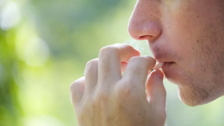 Imagen de referencia