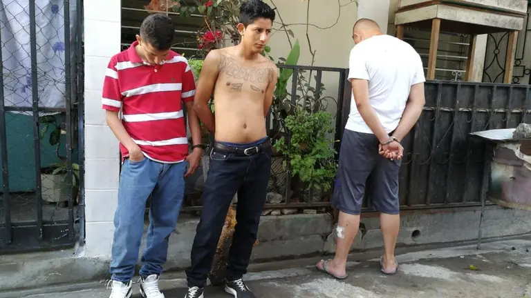 WhatsApp Image 2018-11-07 at 07.20.44