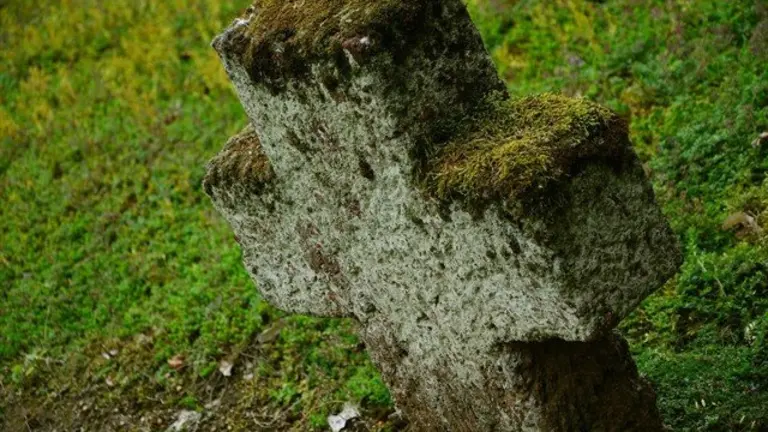 fotonoticia_20180218230304_640