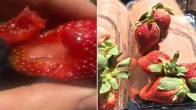 fresas con alfilares