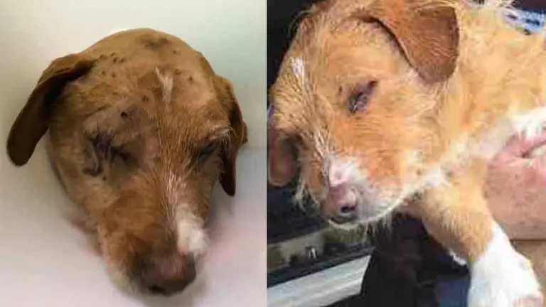 ESC14582511acffccc_0