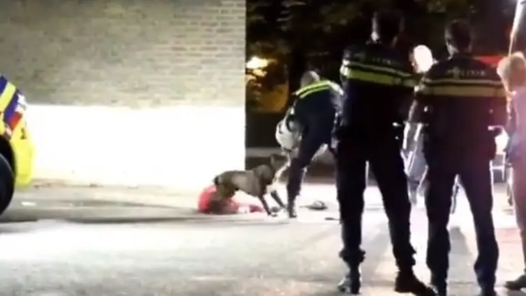 WhatsApp Image 2019-01-18 at 08.20.36