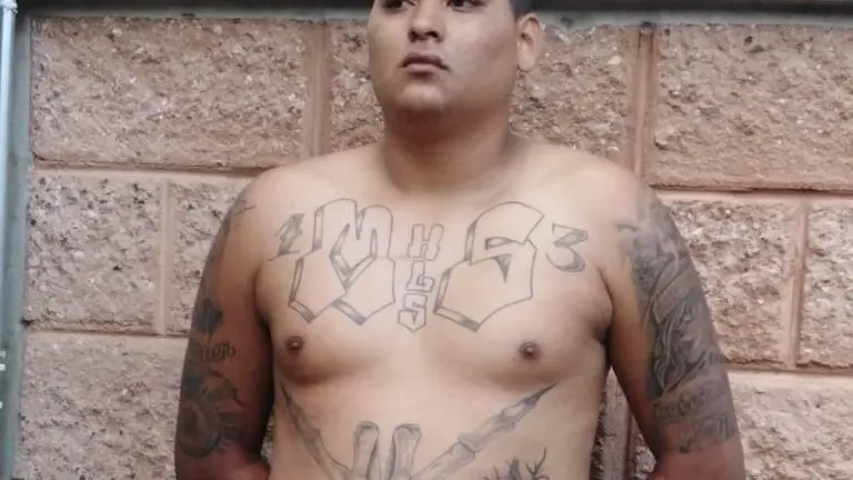 WhatsApp Image 2019-01-19 at 10.55.07