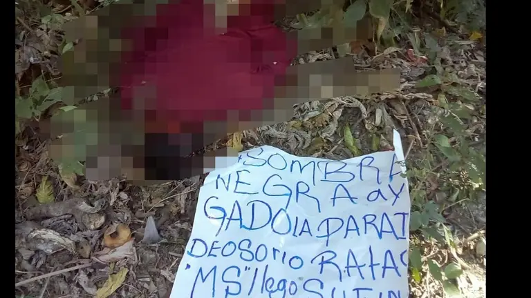 sombra negra en el paraiso e Paraíso de Osorio.