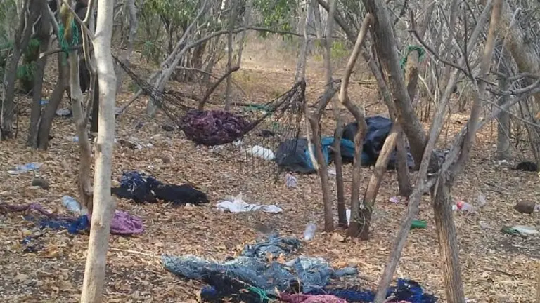 WhatsApp Image 2019-03-02 at 09.55.17