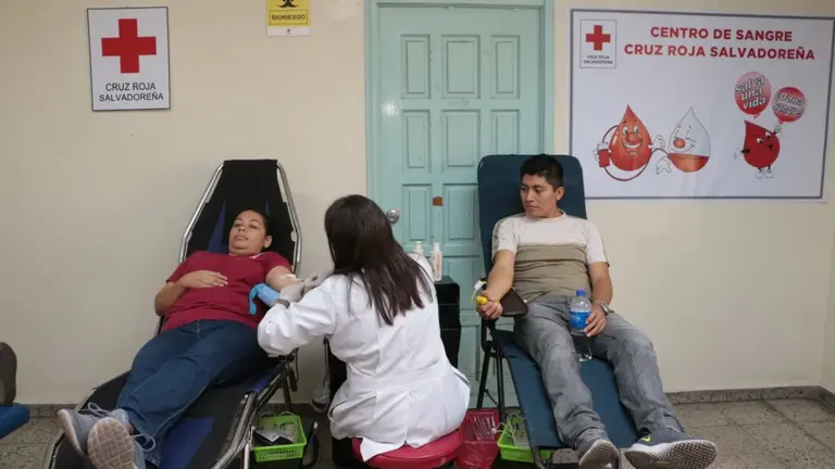 Donación de sangre