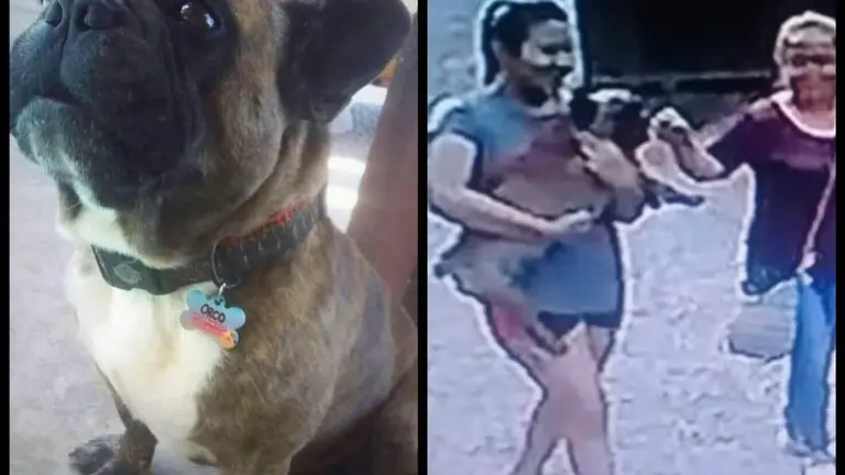 WhatsApp Image 2019-04-21 at 2.16.25 PM