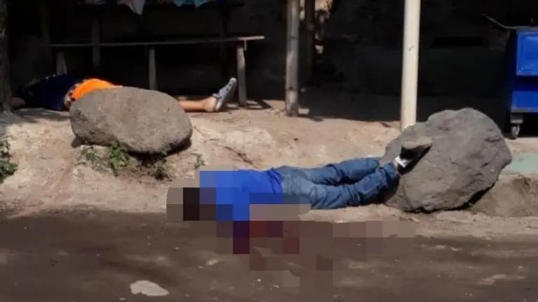 WhatsApp Image 2019-04-29 at 3.24.45 PM (1)