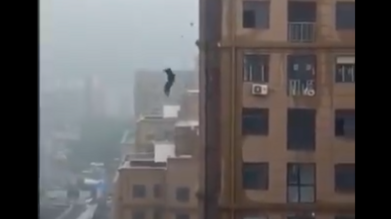 Imagen captura de pantalla del video