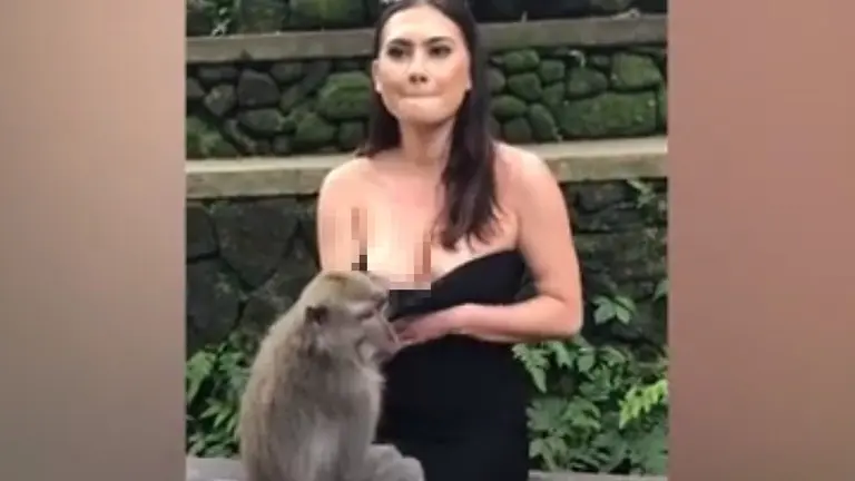 Mono y turista