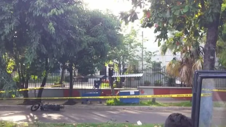 Estrellado contra un árbol