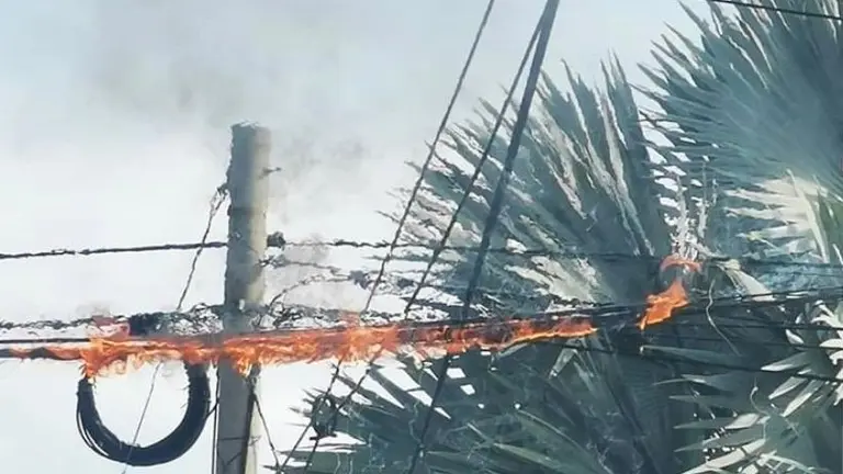 Cable de telefónica 3