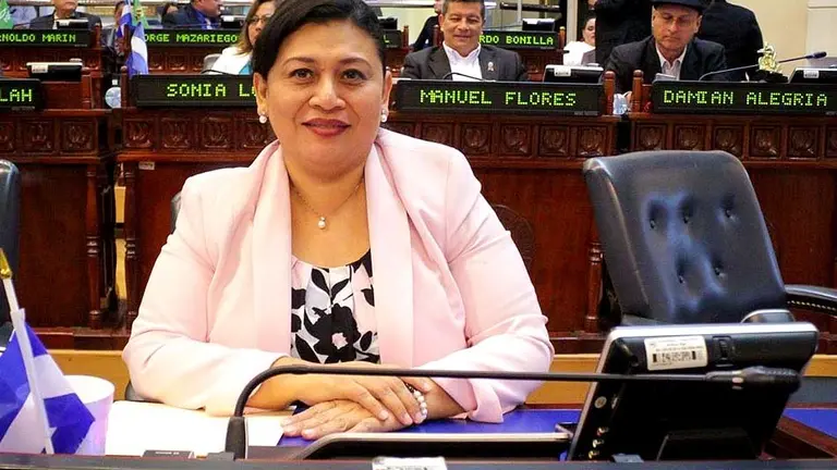 Diputada Elizabeth Gómez