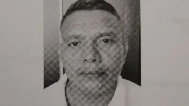 Reo fugado de granja