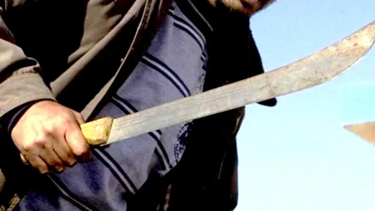 Ataque con machete 1