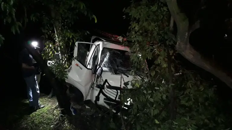 Ebrio choca contra árbol