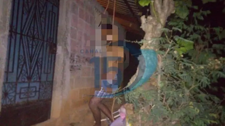 fb9354a5-7b6e-4cb2-bdea-936881df71c4