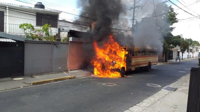 Bus ruta5
