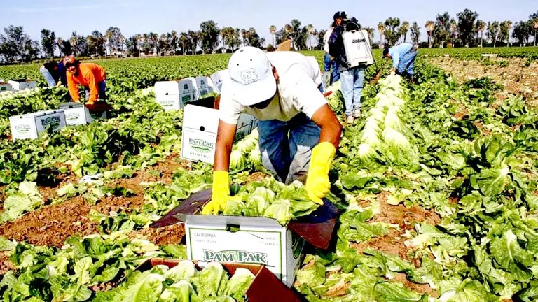 Hispanos trabajando en Estados Unidos