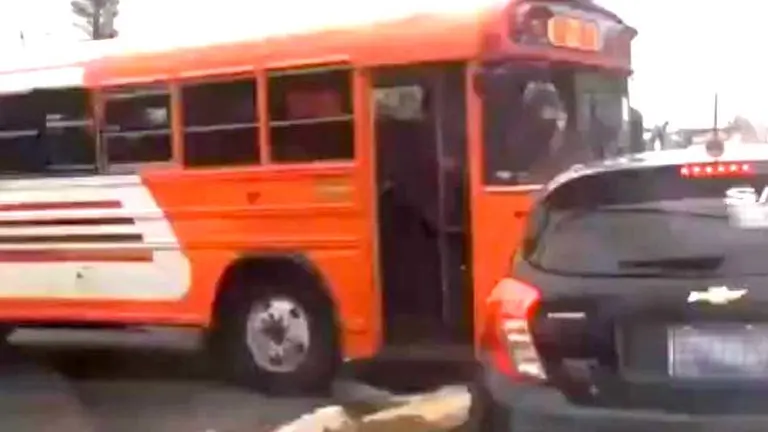 Busero 7D