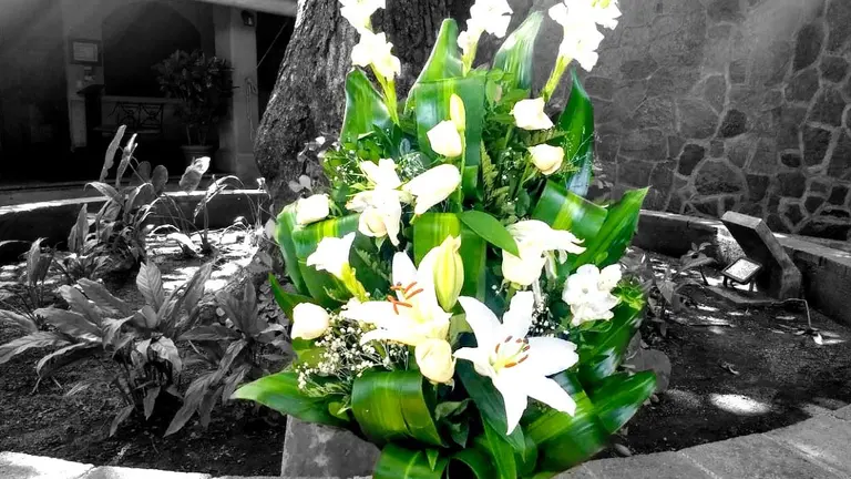 Arte para nota de Rocío