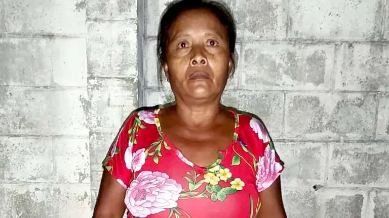 María Josefa Vidal detenida por violar a menor en Apulo