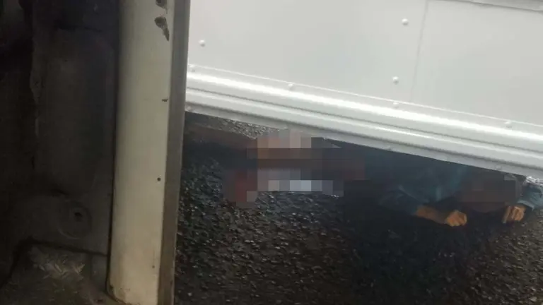 Atropellada en San José