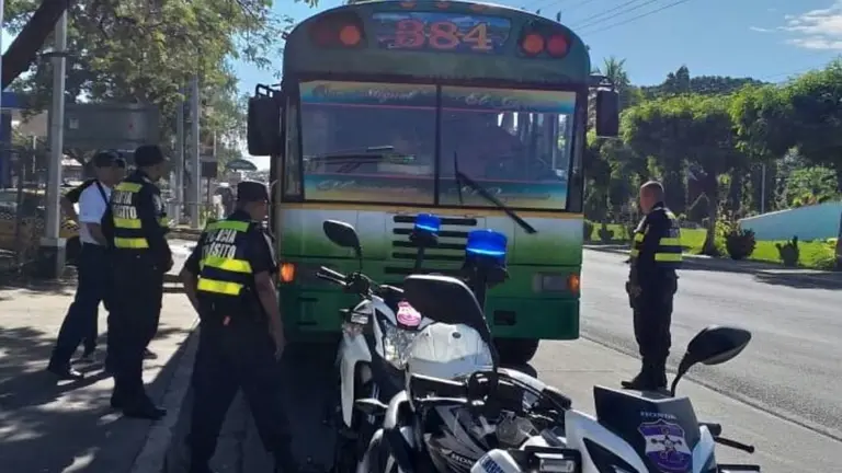 Buses 384