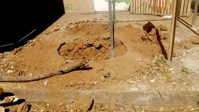 Talan árbol para instalar una champa como cafetín 2