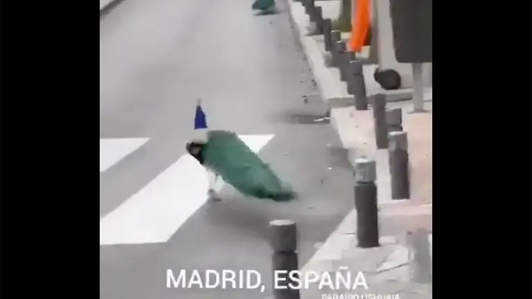 VIDEO: El mundo sin humanos permite a los animales regresar a sus hogares