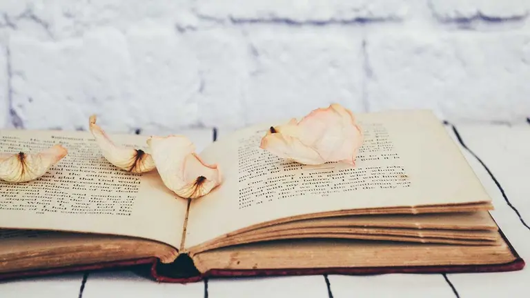 Día del Libro y cuarentena: 5 libros de novela romántica