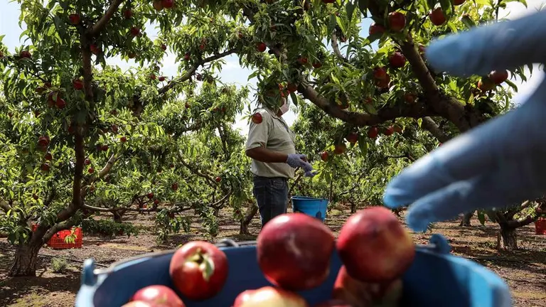 6cc105ae56e913a5c108cf8bc0b0a2be09129c22w