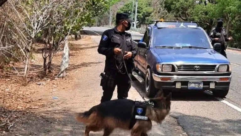 agente canino3
