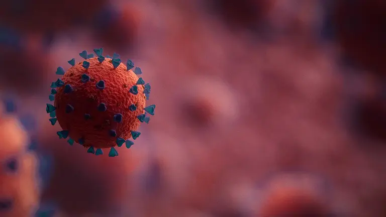 El coronavirus está MUTANDO