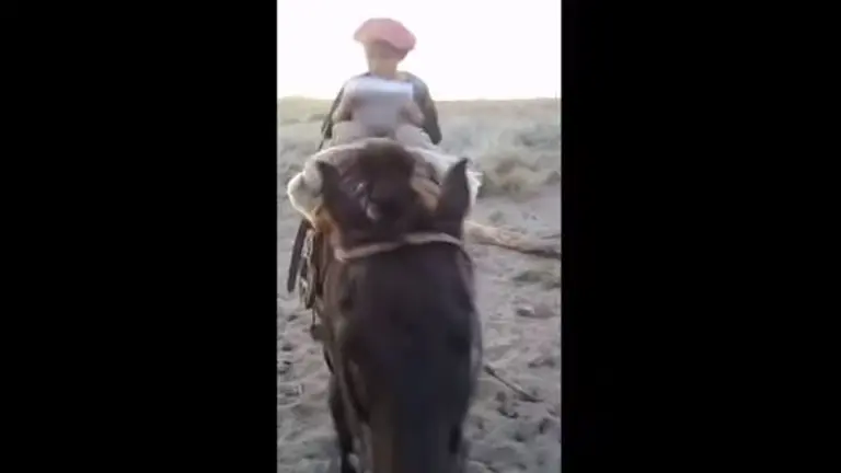 Niño en caballo