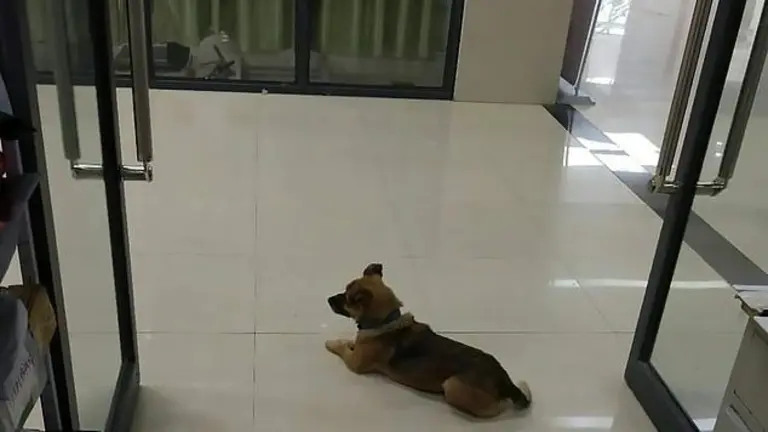 IMG_20200526_164753~2