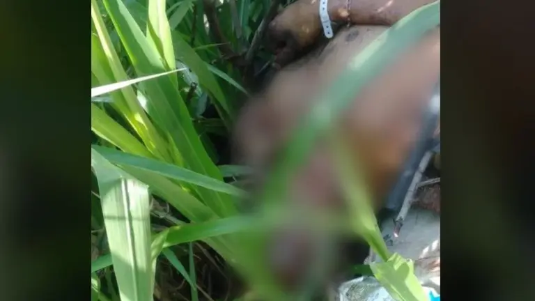 Quebrada en Constitución