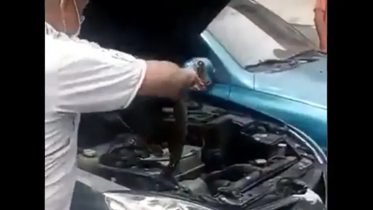 Culebra en taller de Soya