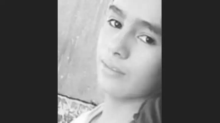 Desaparecido en el volcán