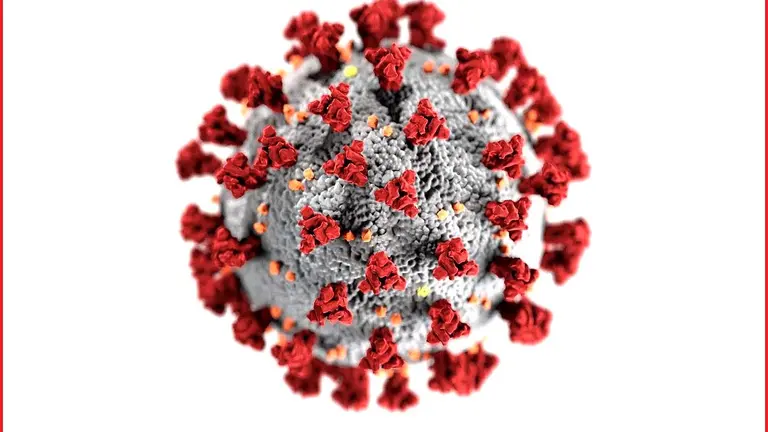 Imagen coronavirus Pexels 2