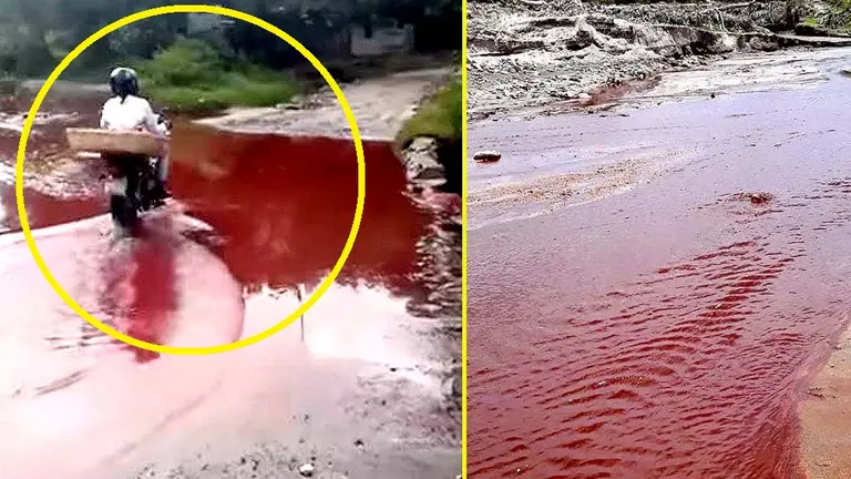 Contaminación del río Changuite en Ilopango 5 Foto tomada de Extinción El Salvador y El Salvador en imágenes