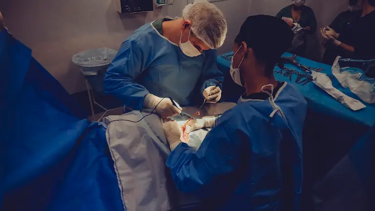 doctores en cirugia