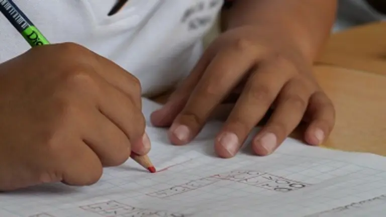 Niño estudiando (pixabay)