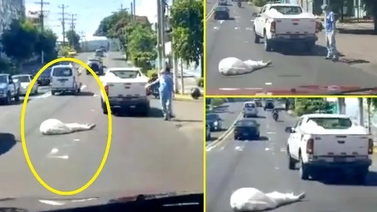 Cadáver que era transportado en pick up de Medicina Legal cae en vía pública Imagen tomada de José Figue 4