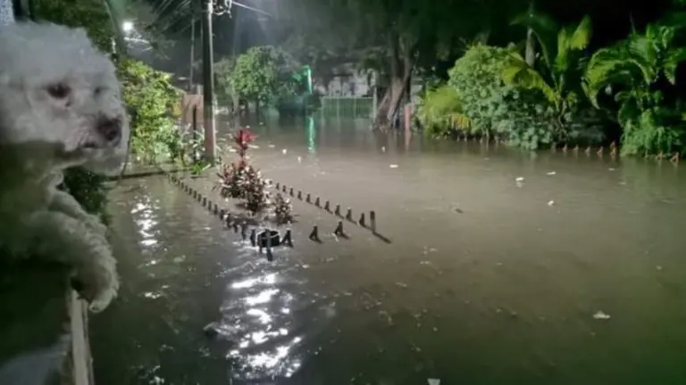Lluvias de nuevo en la Santa Lucía