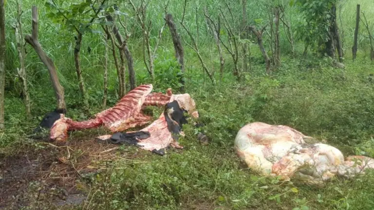 Cuatrerismo en Chalatenango