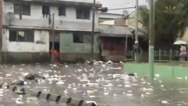SS inundado de agua y de basura