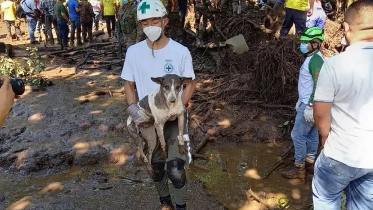 A perro lo sacan 5 veces